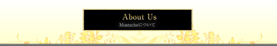 Mustacheについて-ミニチュアシュナウザー ノーフォークテリア 子犬販売ブリーダー東京「Mustache」